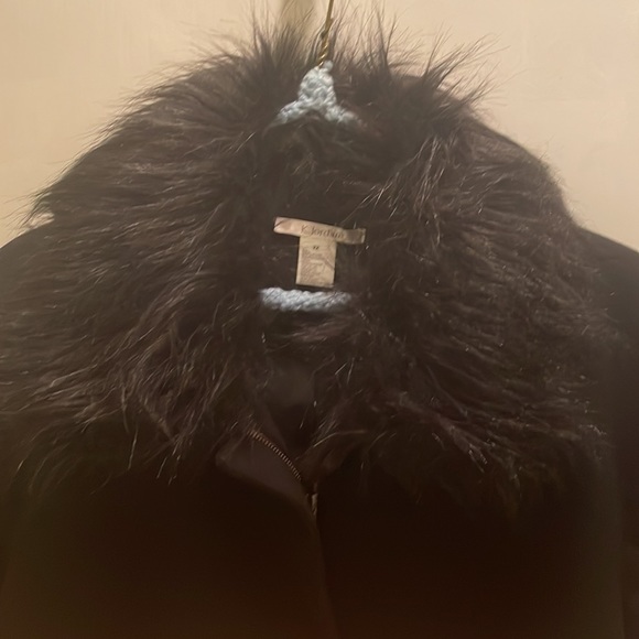 Color block coat - Picture 3 of 5